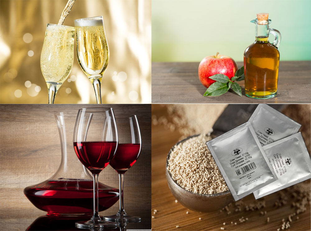 Приготовление закваски из изюма и других ягод для вина, как альтернативы винным дрожжам
